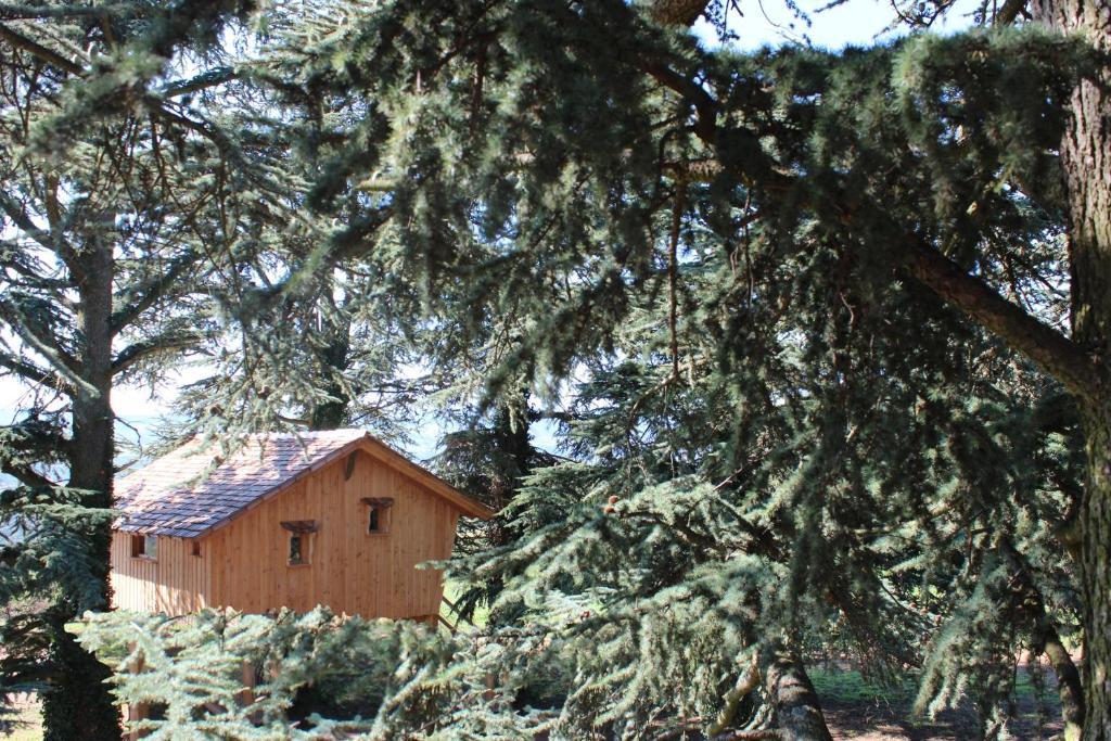 Domaine Des Grands Cedres Bed and Breakfast Cordelle Δωμάτιο φωτογραφία
