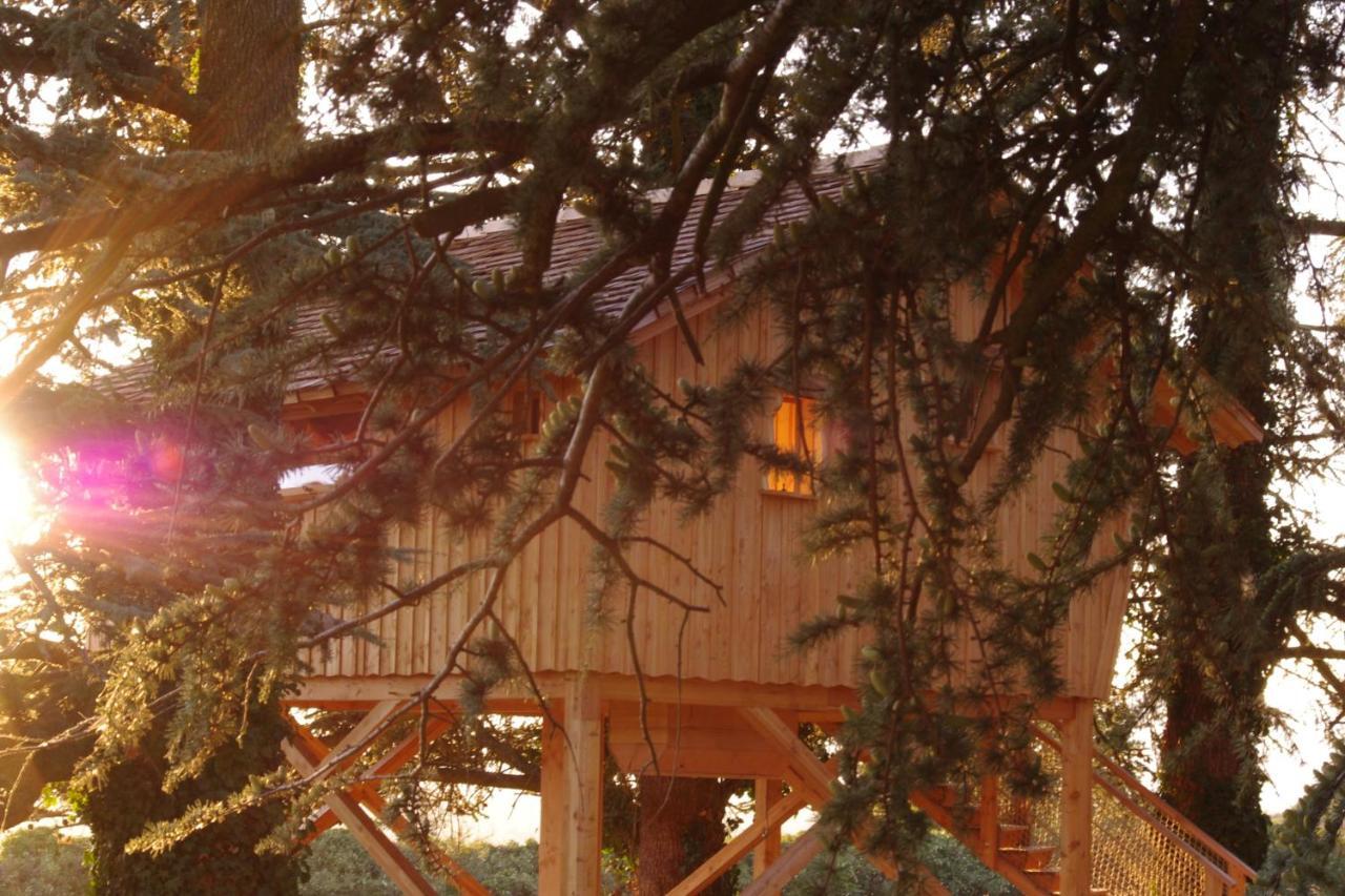 Domaine Des Grands Cedres Bed and Breakfast Cordelle Δωμάτιο φωτογραφία